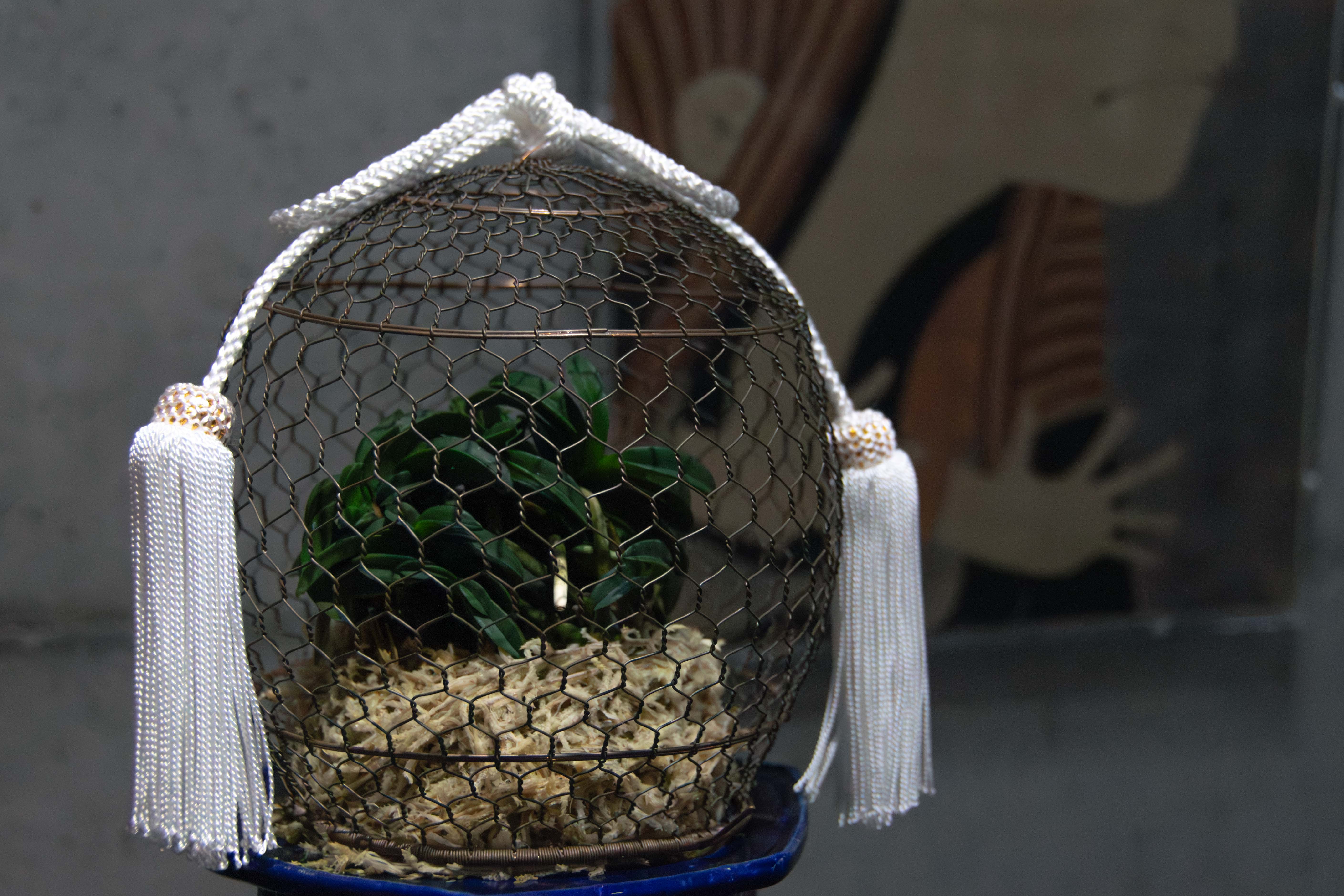 広島の企業写真撮影