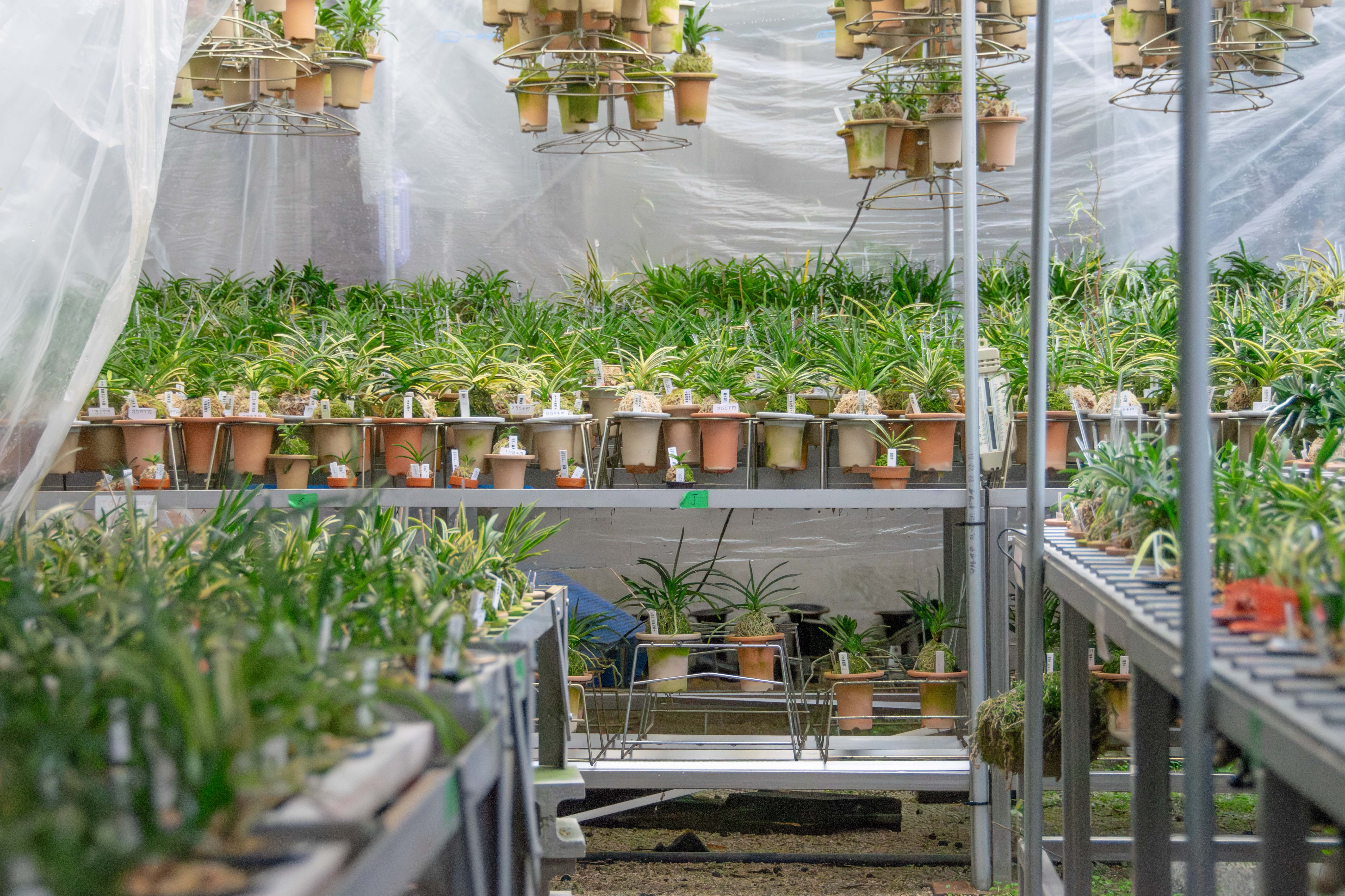 広島の企業写真撮影