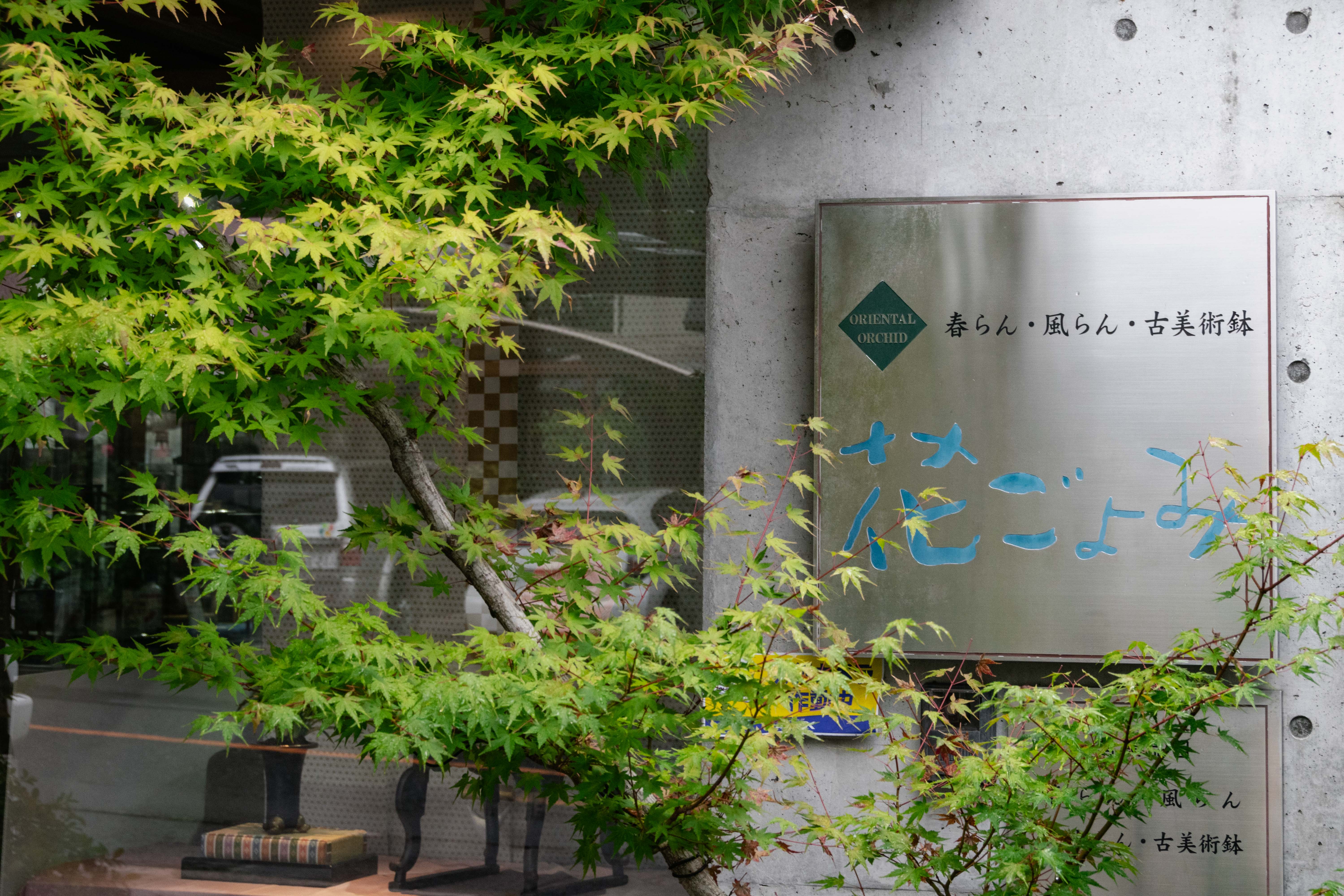 広島の企業写真撮影