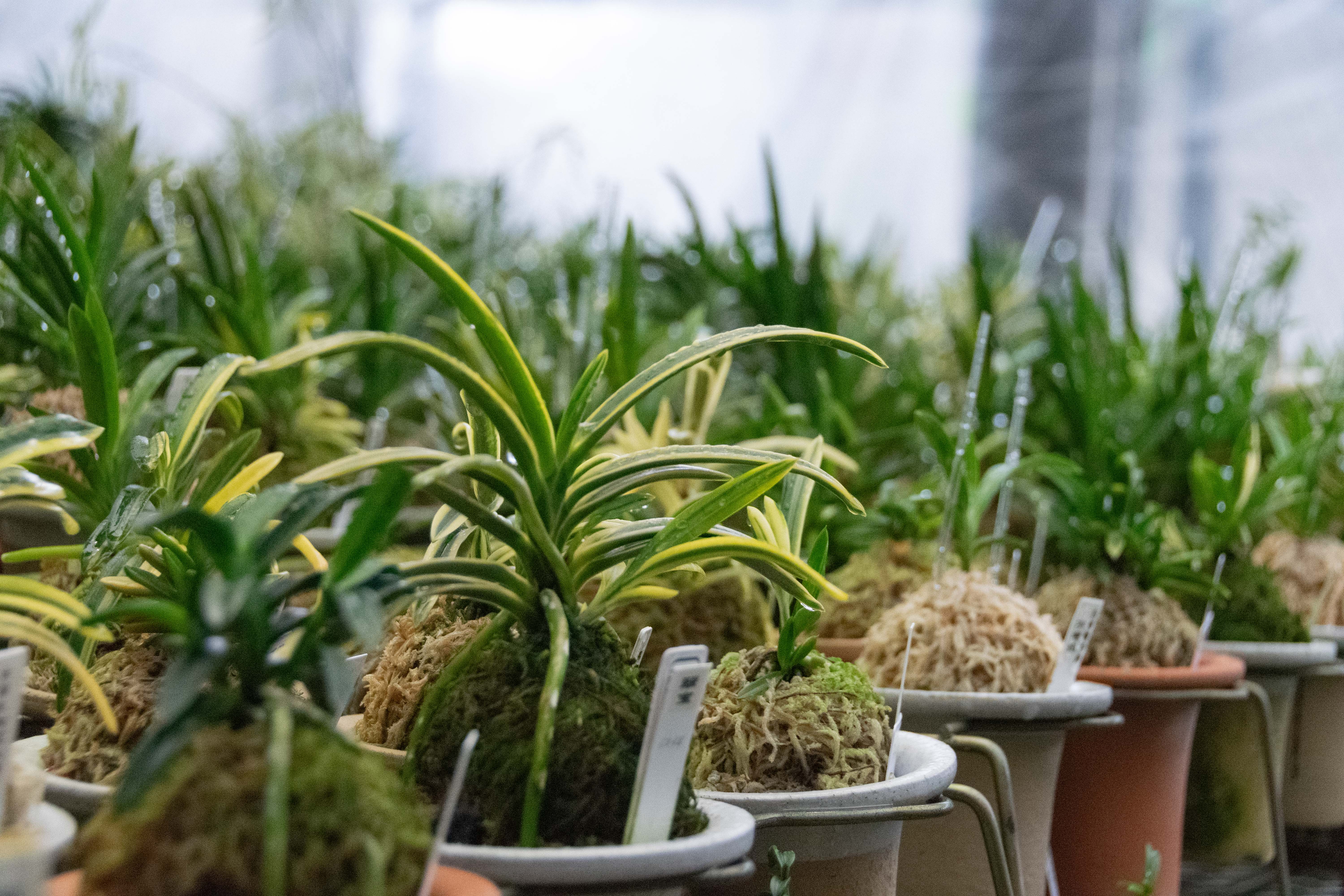 広島の企業写真撮影