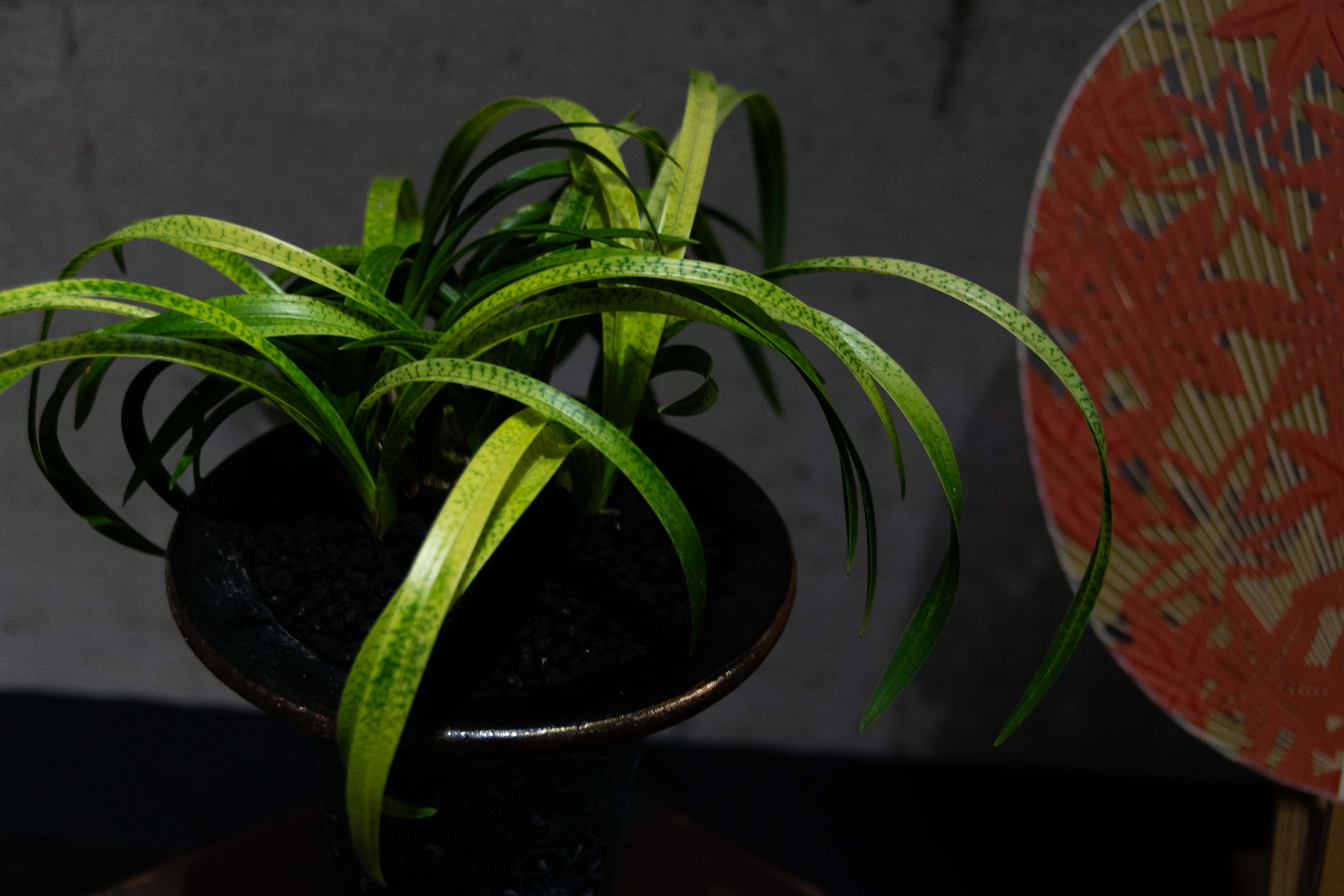 広島の企業写真撮影